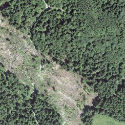 Satellite imagery of Goldegg, CH