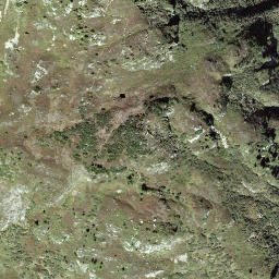 Satellite imagery of Gemschen, CH