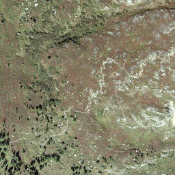 Satellite imagery of Seewenchegel, CH