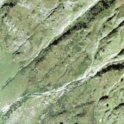 Satellite imagery of Witenstock, CH
