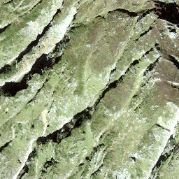 Satellite imagery of Witenstock, CH
