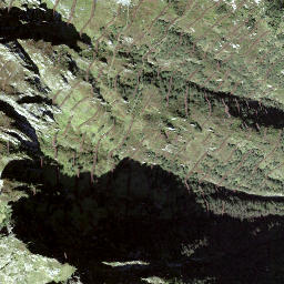 Satellite imagery of Witenstock, CH