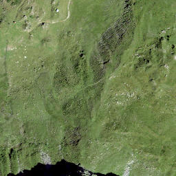 Satellite imagery of Piz Mundaun, CH