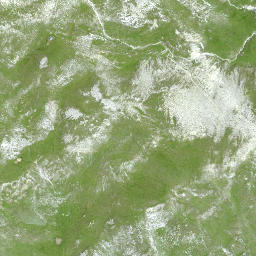 Satellite imagery of Altein, CH