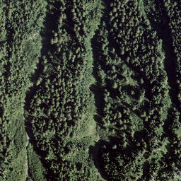 Satellite imagery of Piz Spadlas, CH