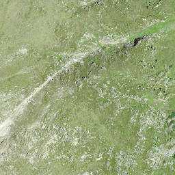 Satellite imagery of Piz Giarsinom, CH