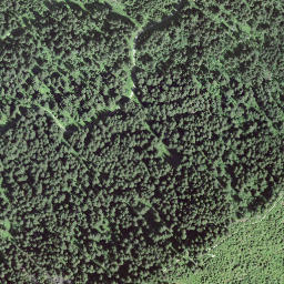 Satellite imagery of Egg, CH
