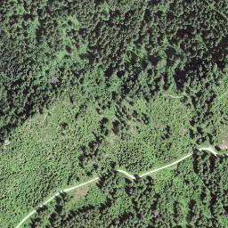 Satellite imagery of Egg, CH