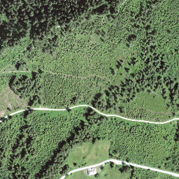 Satellite imagery of Egg, CH