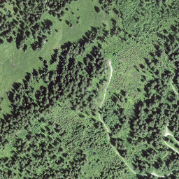 Satellite imagery of Schwarzenbühl, CH