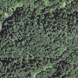 Satellite imagery of Vesuv, CH