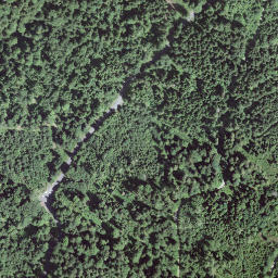 Satellite imagery of Bruuchhubel, CH