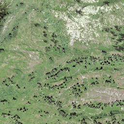 Satellite imagery of Loubenegg, CH