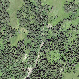 Satellite imagery of Schwendiegg, CH