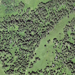Satellite imagery of Schwendiegg, CH