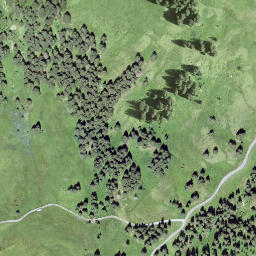 Satellite imagery of Bodmisegg, CH