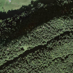 Satellite imagery of Ursiflüö, CH