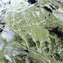 Satellite imagery of Tällistock, CH