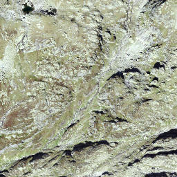 Satellite imagery of Rotbärgli, CH