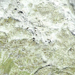 Satellite imagery of Pfriendler, CH