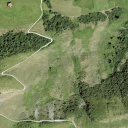 Satellite imagery of Piz Plauncas, CH