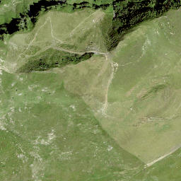 Satellite imagery of Piz Mundaun, CH