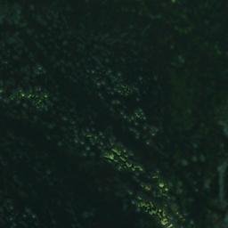 Satellite imagery of Mutta, CH