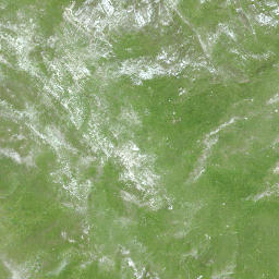 Satellite imagery of Altein, CH