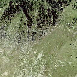 Satellite imagery of Piz Spadlas, CH