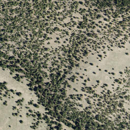 Satellite imagery of Sitzer Gulch Mine, US