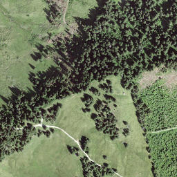 Satellite imagery of Horbüelpass, CH