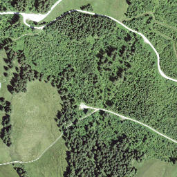 Satellite imagery of Egg, CH