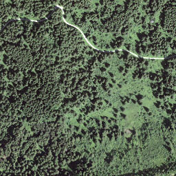 Satellite imagery of Schüpfeflue, CH
