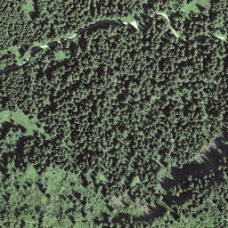 Satellite imagery of Schüpfeflue, CH
