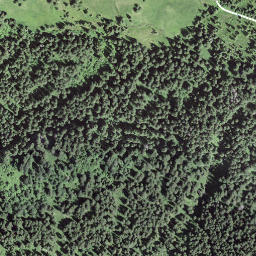Satellite imagery of Lischbodegrat, CH