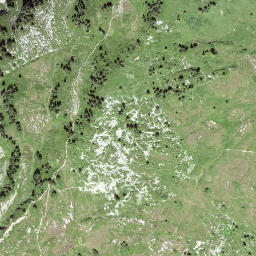 Satellite imagery of Loubenegg, CH