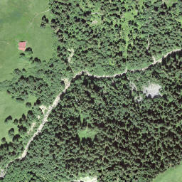 Satellite imagery of Schwendiegg, CH