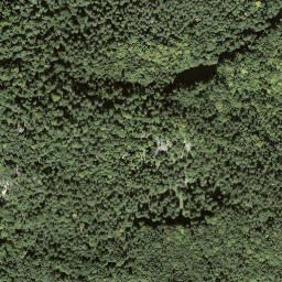 Satellite imagery of Ursiflüö, CH