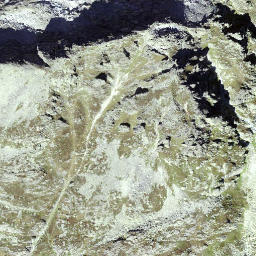 Satellite imagery of Pfriendler, CH