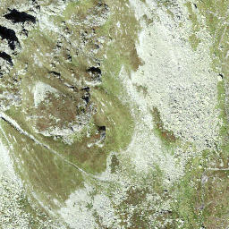 Satellite imagery of Pfriendler, CH