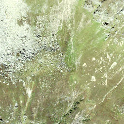 Satellite imagery of Schildplanggenstock, CH
