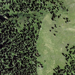 Satellite imagery of Muotta da Crap Ner, CH