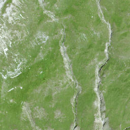 Satellite imagery of Altein, CH