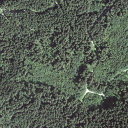 Satellite imagery of Brönnti Egg, CH