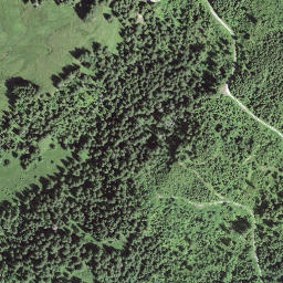 Satellite imagery of Schwarzenbühl, CH