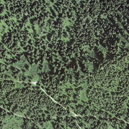 Satellite imagery of Selibüelsattel, CH