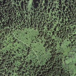 Satellite imagery of Selibüel, CH