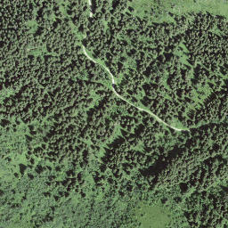Satellite imagery of Selibüel, CH