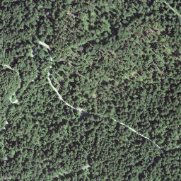 Satellite imagery of Hirzenegg, CH