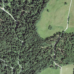 Satellite imagery of Hirzenegg, CH